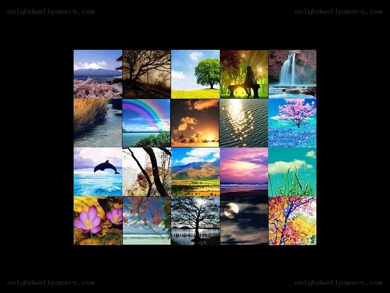 nature collage collection
