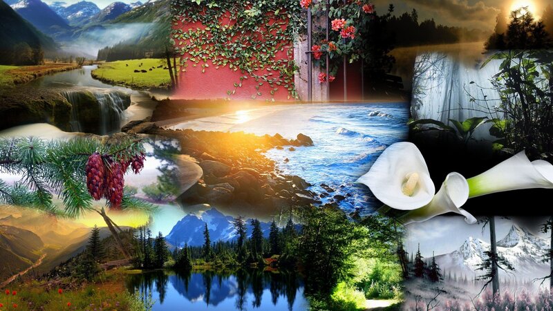 nature collage landscape