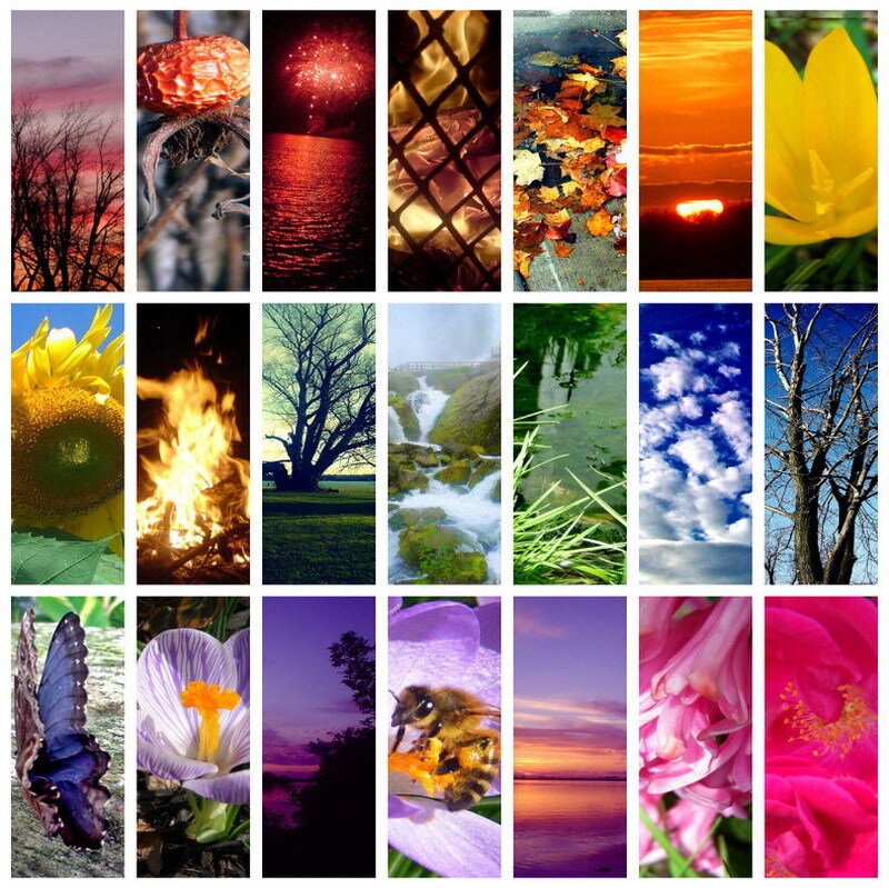 Nature collage of photos