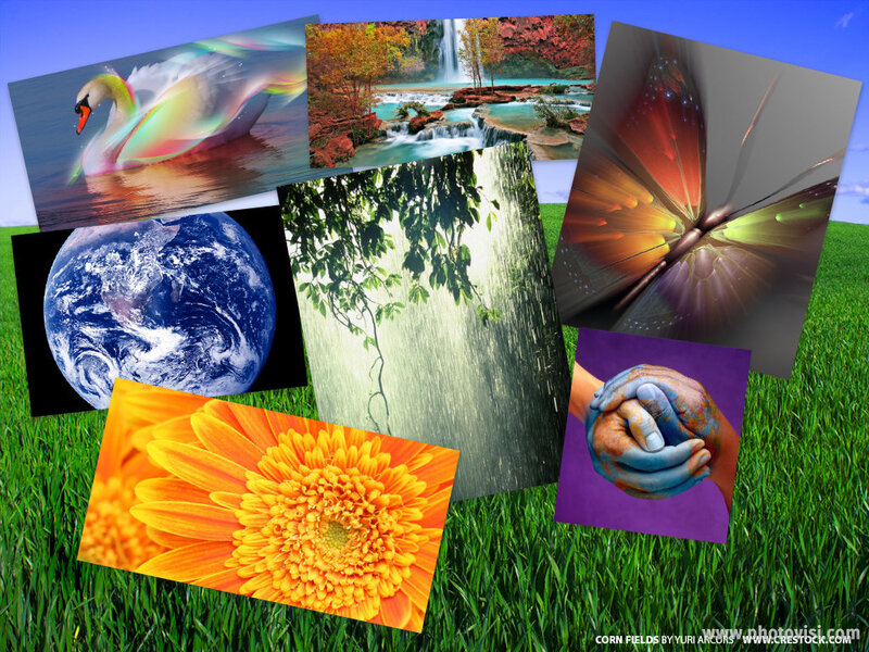 Nature collage on grass