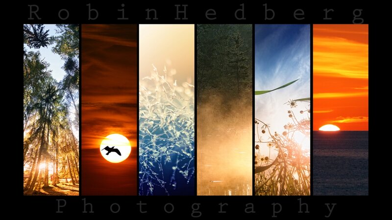 Nature Collage — Orange