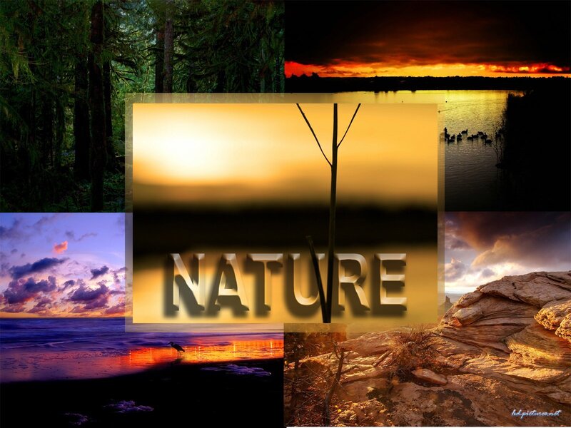 Nature Collage
