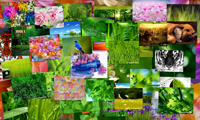 Nature collage wallpaper