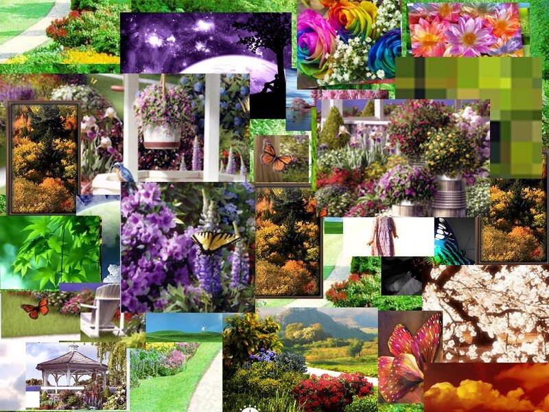 Nature collage with flowers and landscapes