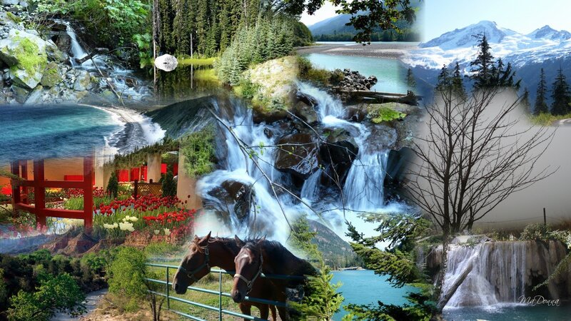 nature collage with waterfalls and horses