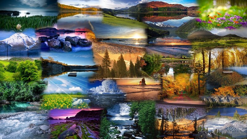 Nature Landscape Collage — Green