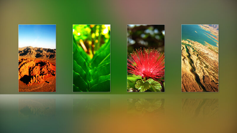 Nature landscape collage