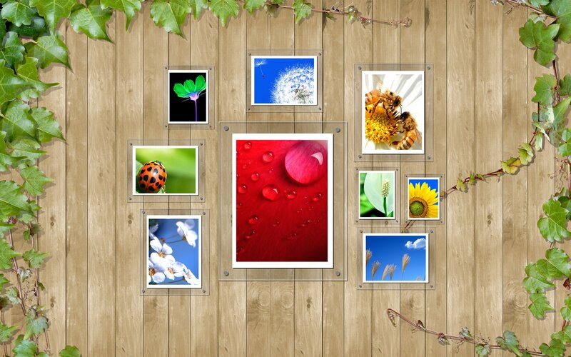 nature photo collage on wood