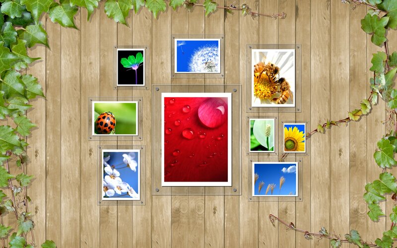 Nature photo collage on wood