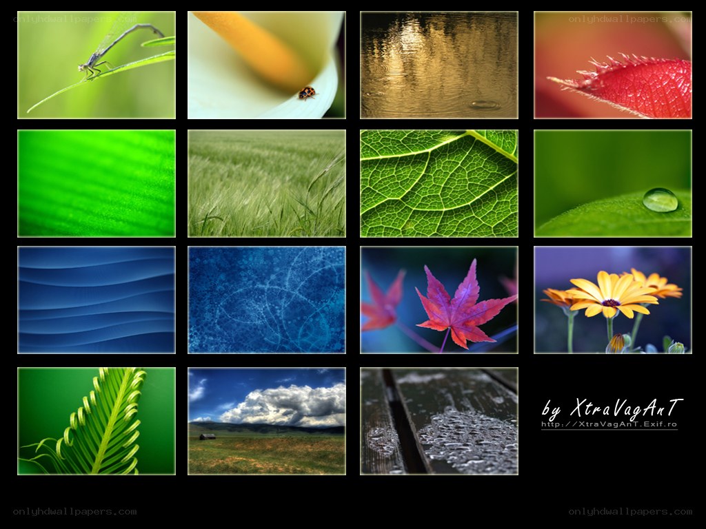 Nature photo collage