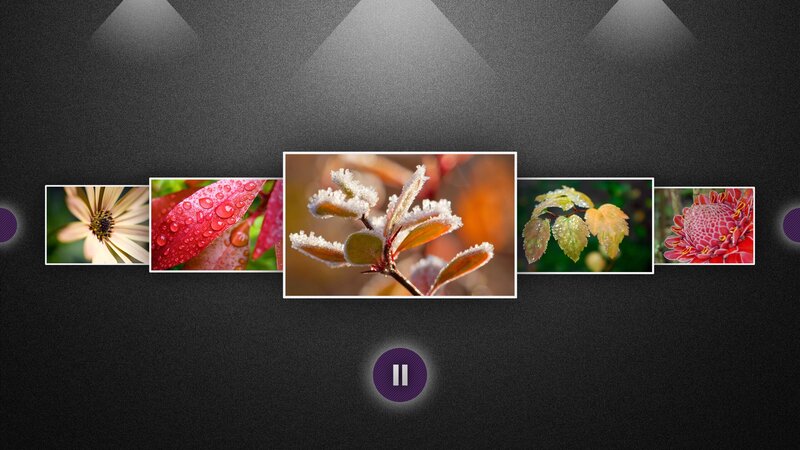 Nature photo gallery display