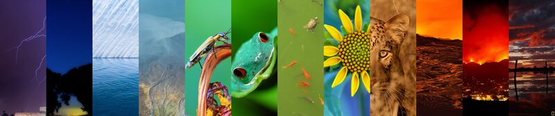 Nature's diverse scenes collage