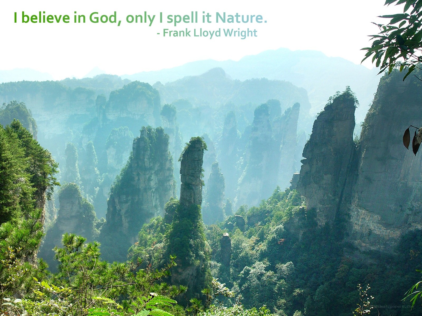 Nature's Pillars and Quote