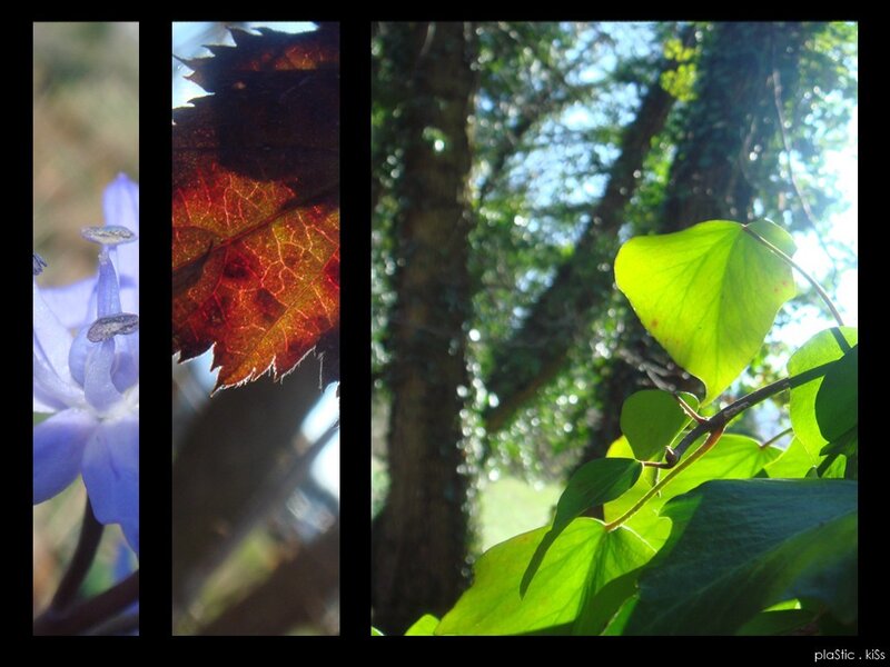 Nature's seasonal transition