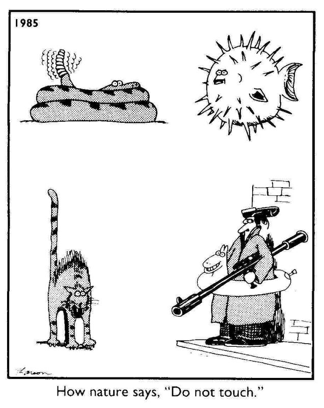 Nature's warning