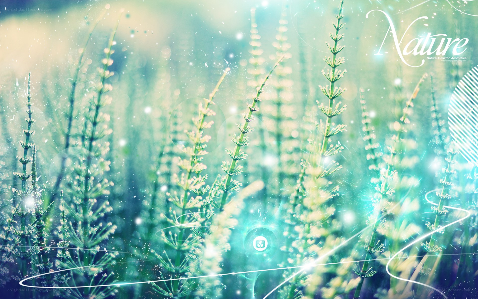 Nature with glowing plants