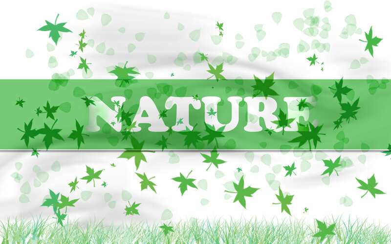 nature with leaves and grass