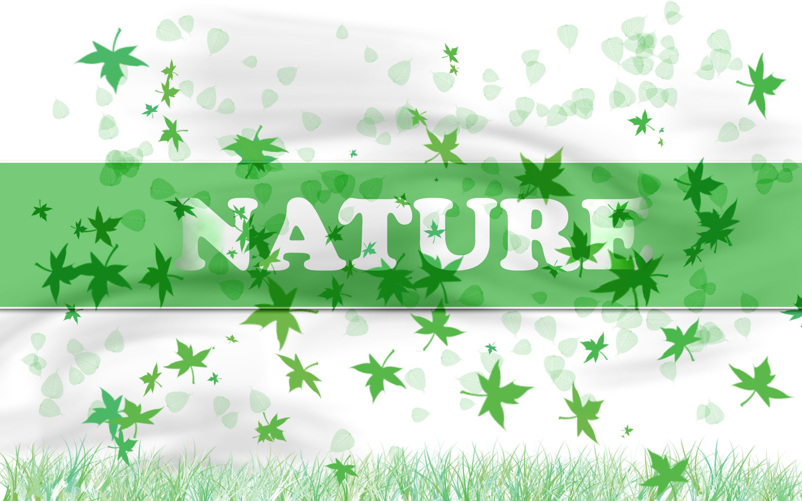 nature with leaves and grass