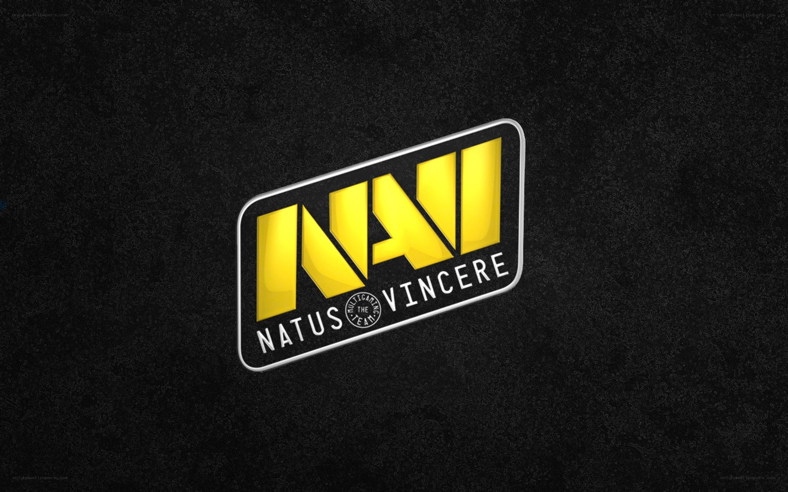 Natus Vincere logo on black