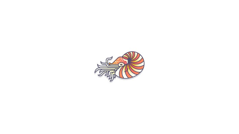 Nautilus Illustration