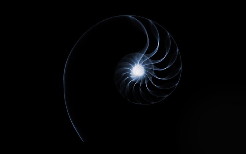 Nautilus Shell Spiral — Black, Serene