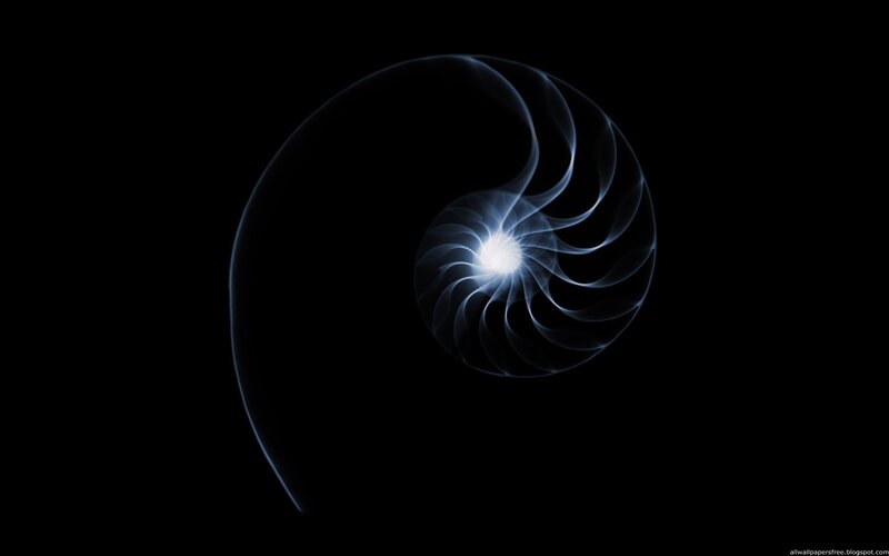 Nautilus Shell Spiral — Black