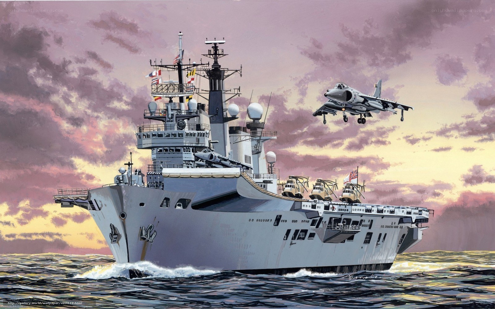 Naval ship with aircraft
