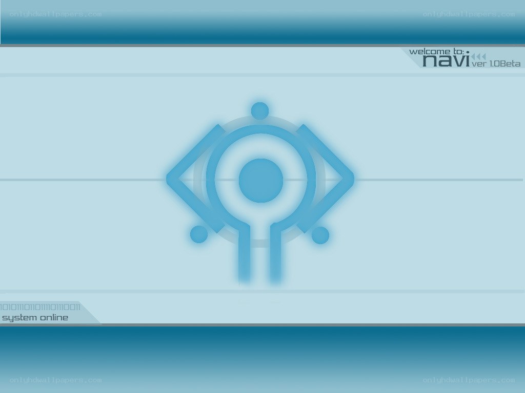 Navi system welcome screen