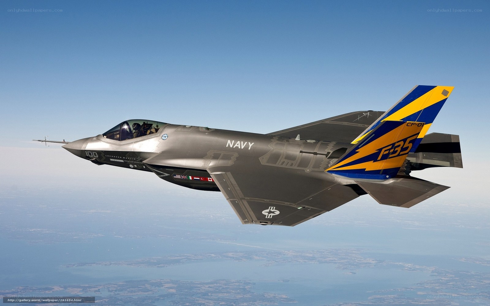 Navy F-35 in flight