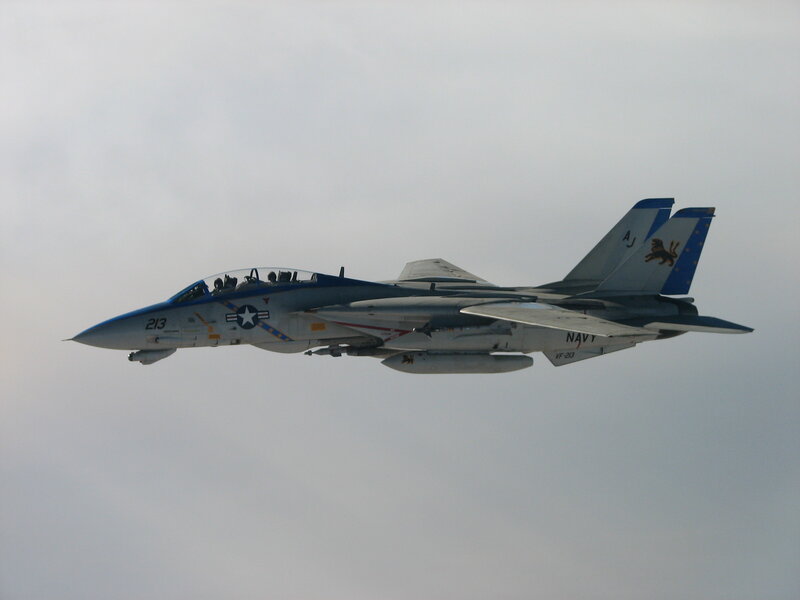 Navy fighter jet in flight