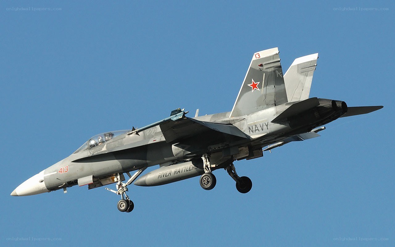 navy fighter jet in flight