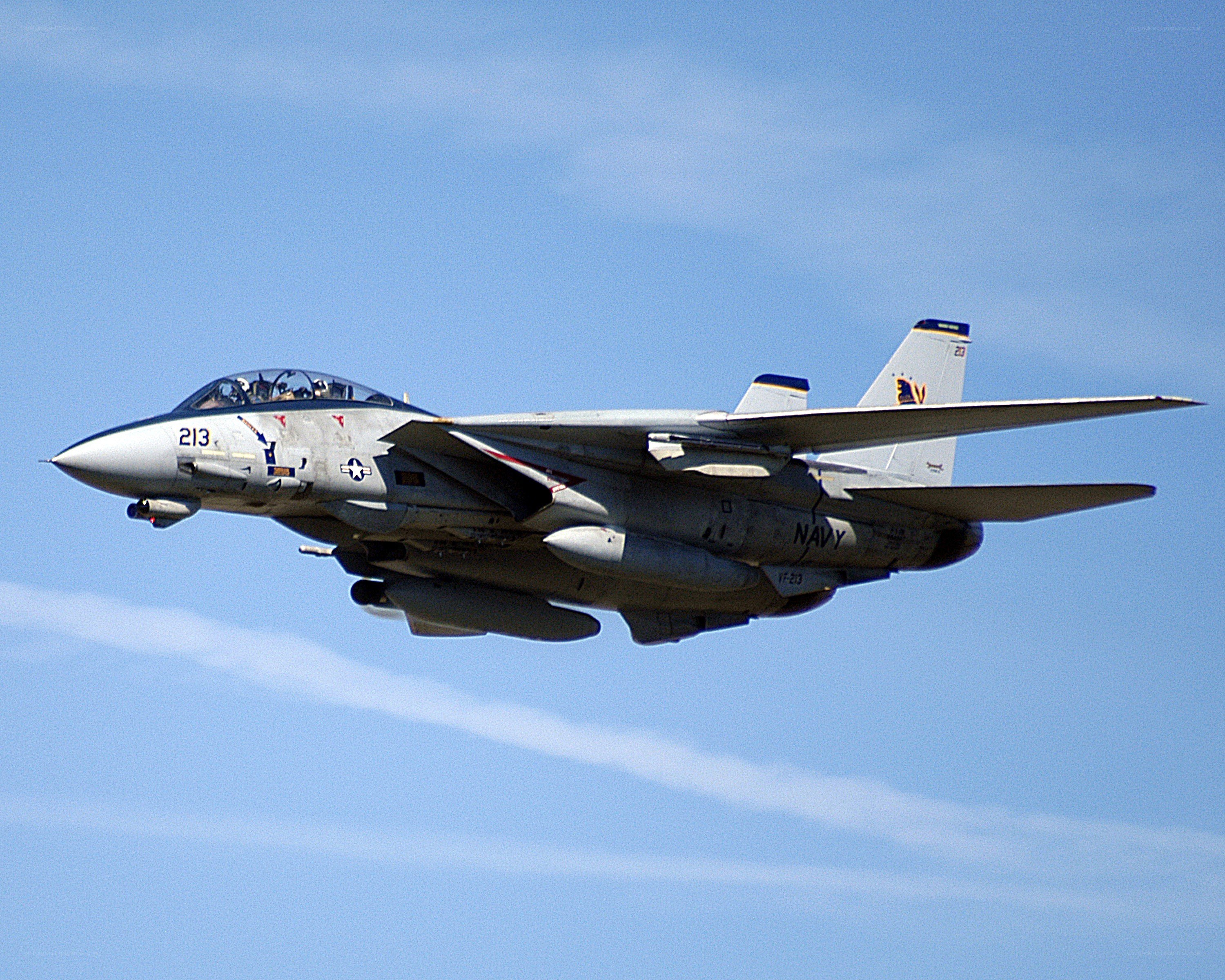 Navy fighter jet in flight
