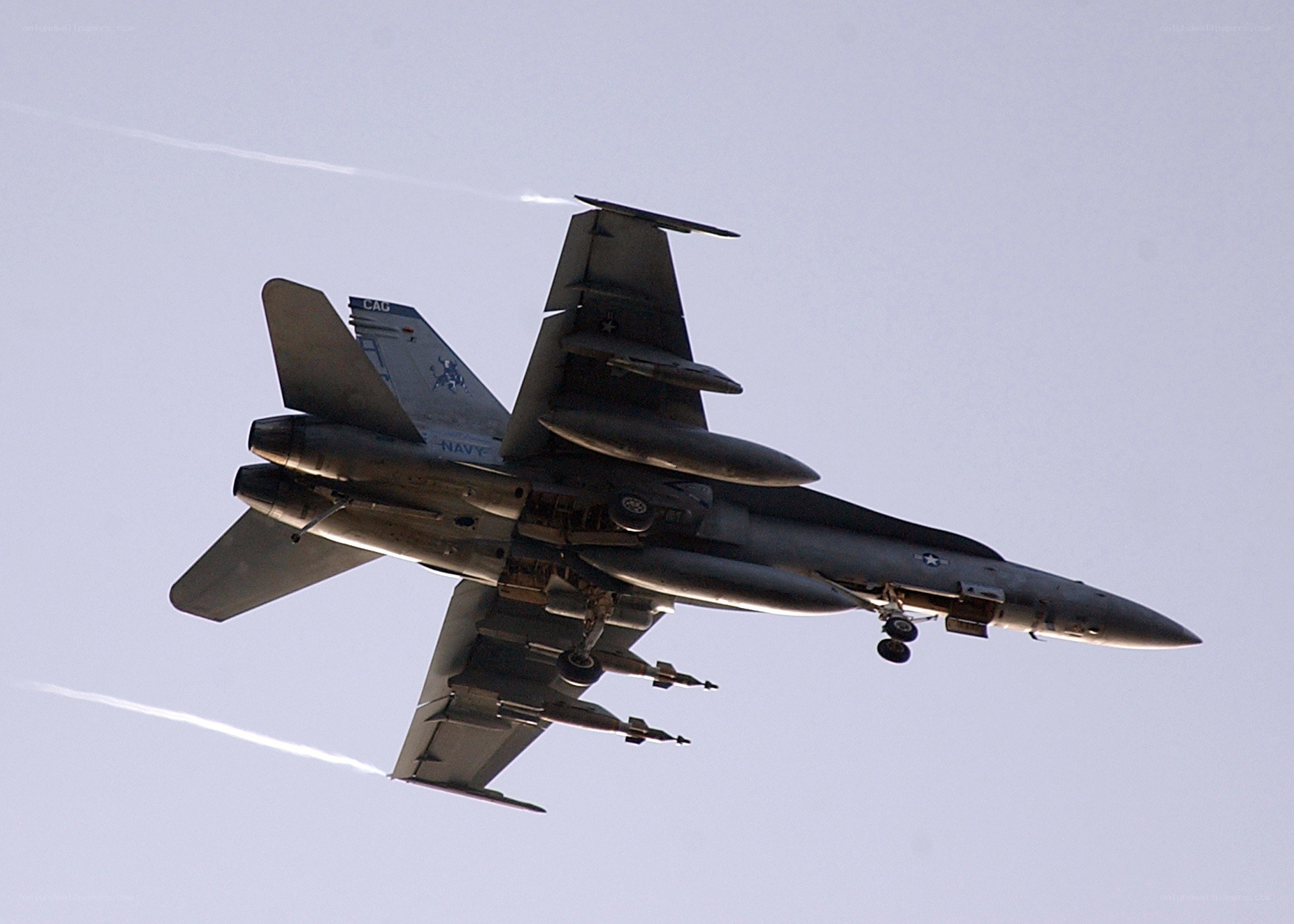 Navy fighter jet in flight