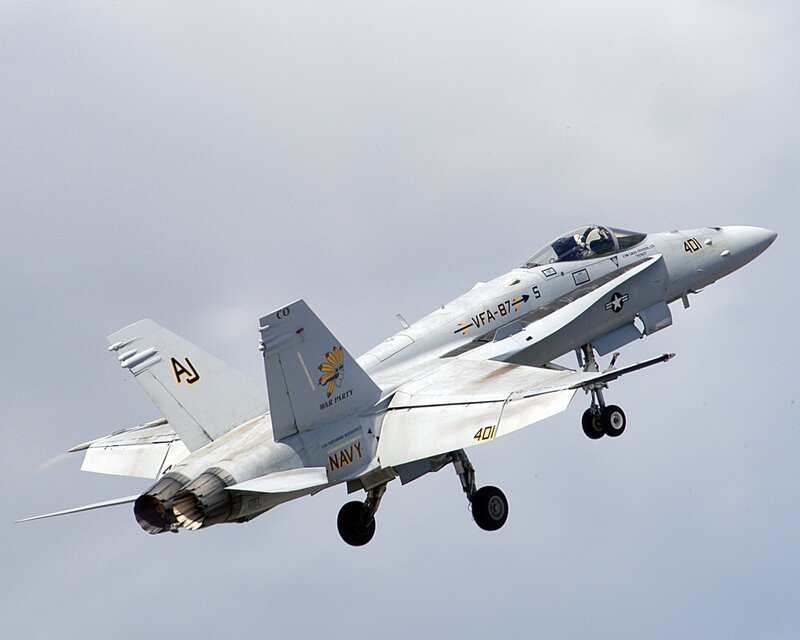 Navy fighter jet in flight