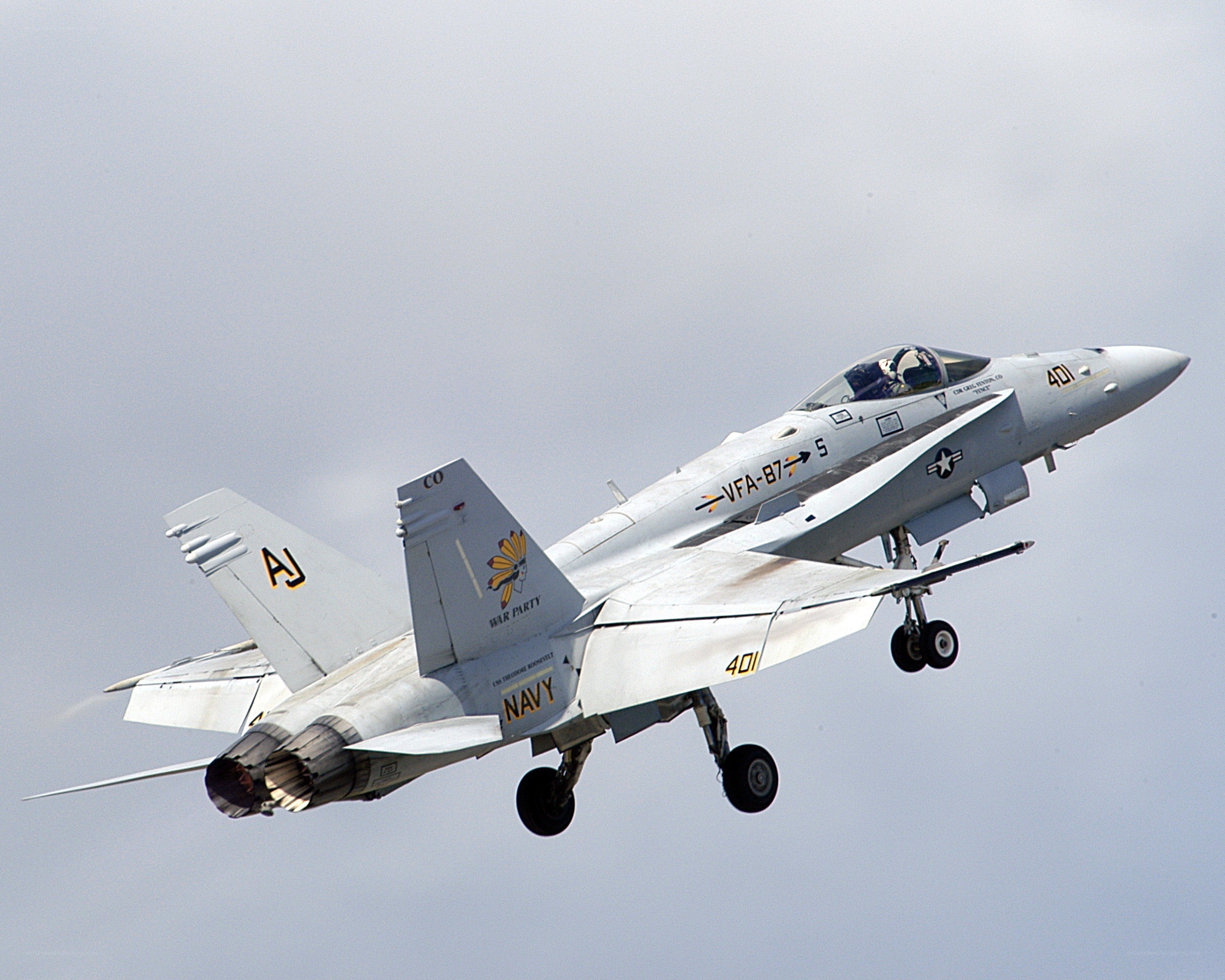 Navy fighter jet in flight