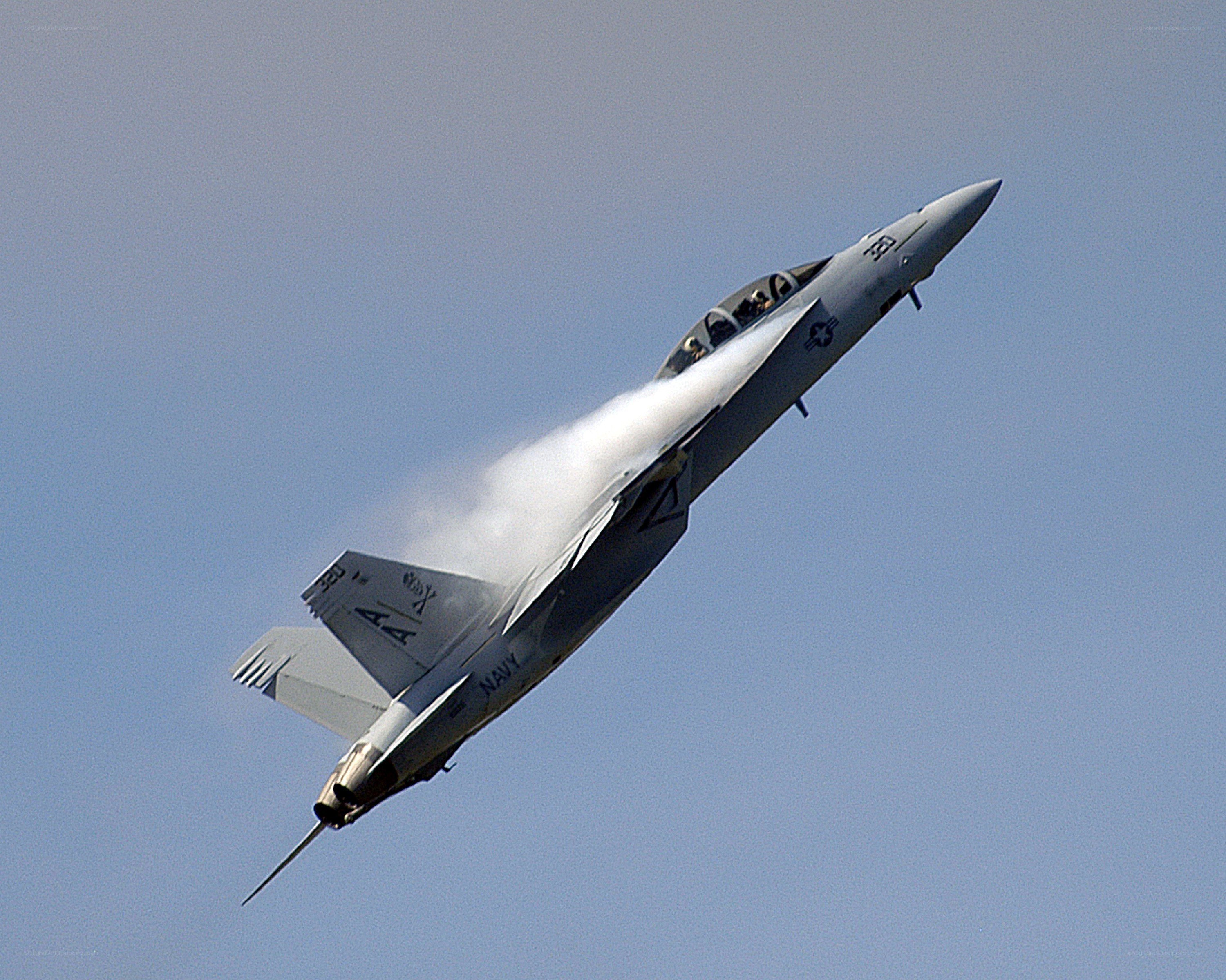 Navy fighter jet in flight