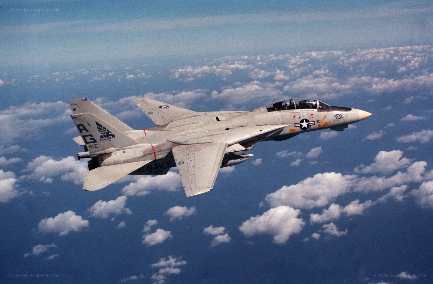 Navy fighter jet in flight