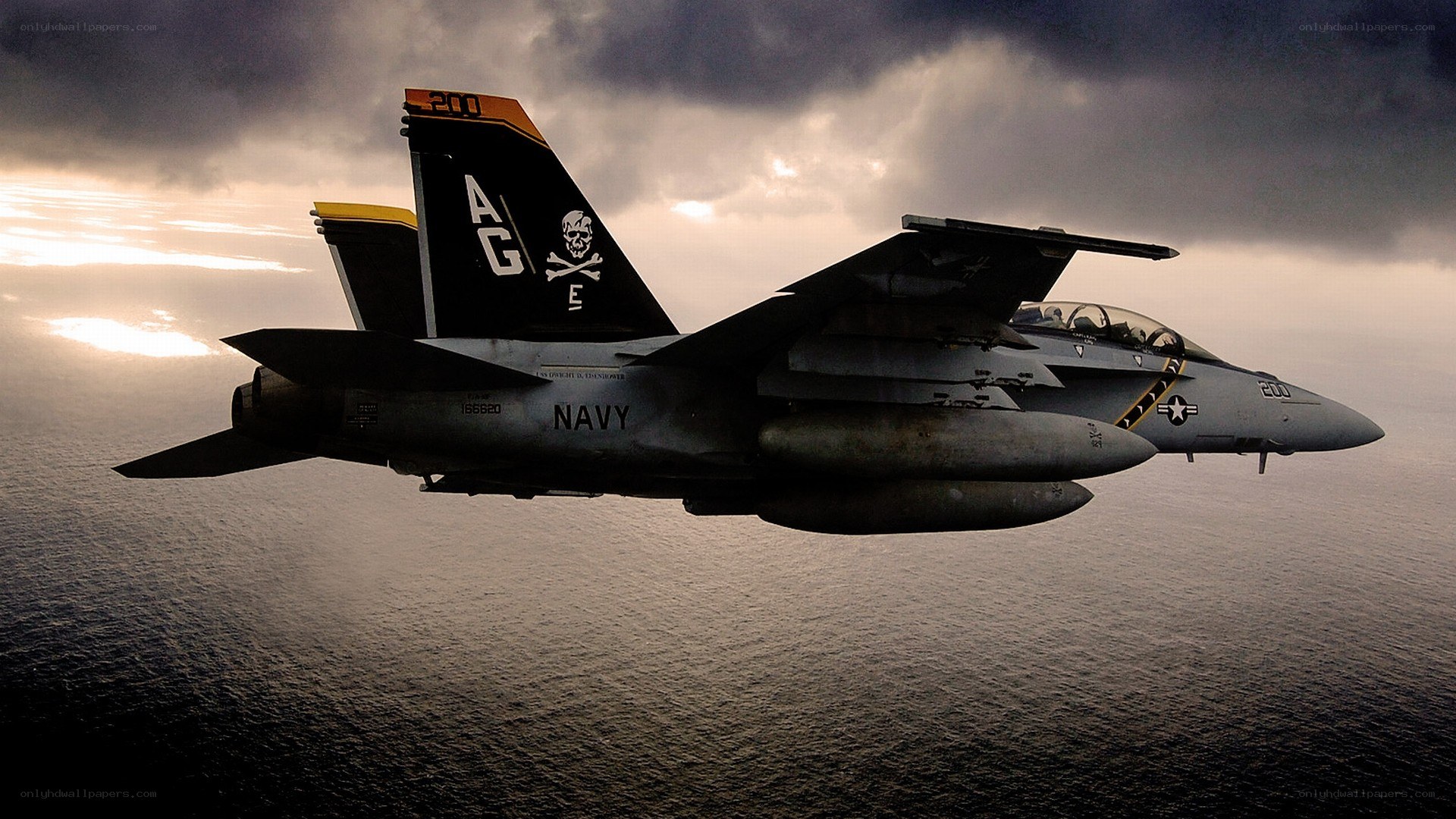 Navy fighter jet in flight