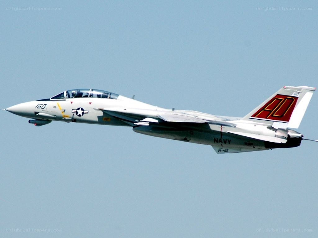 Navy fighter jet in flight