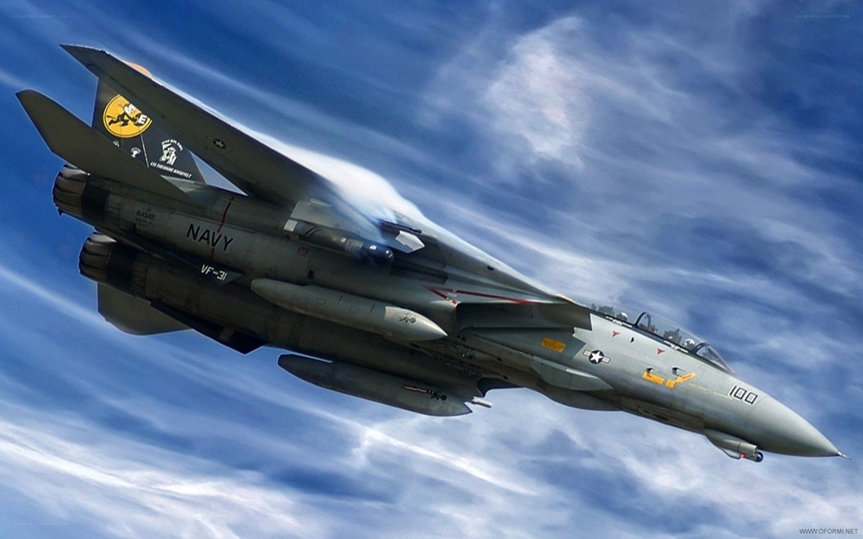 Navy fighter jet in flight