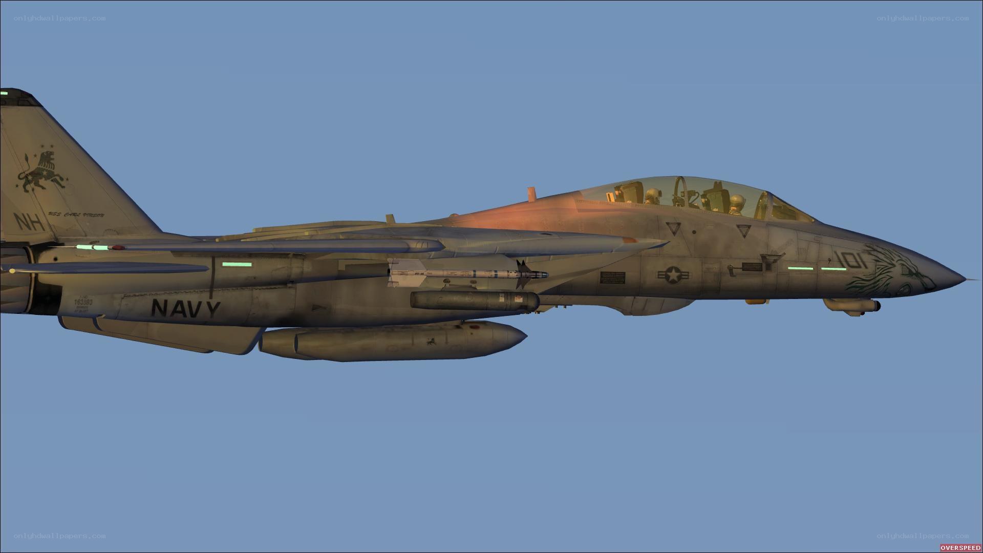 Navy fighter jet in flight