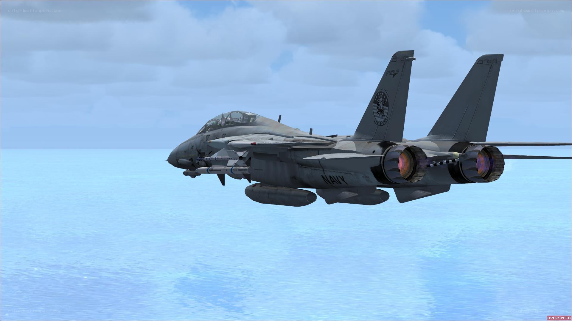 Navy fighter jet in flight
