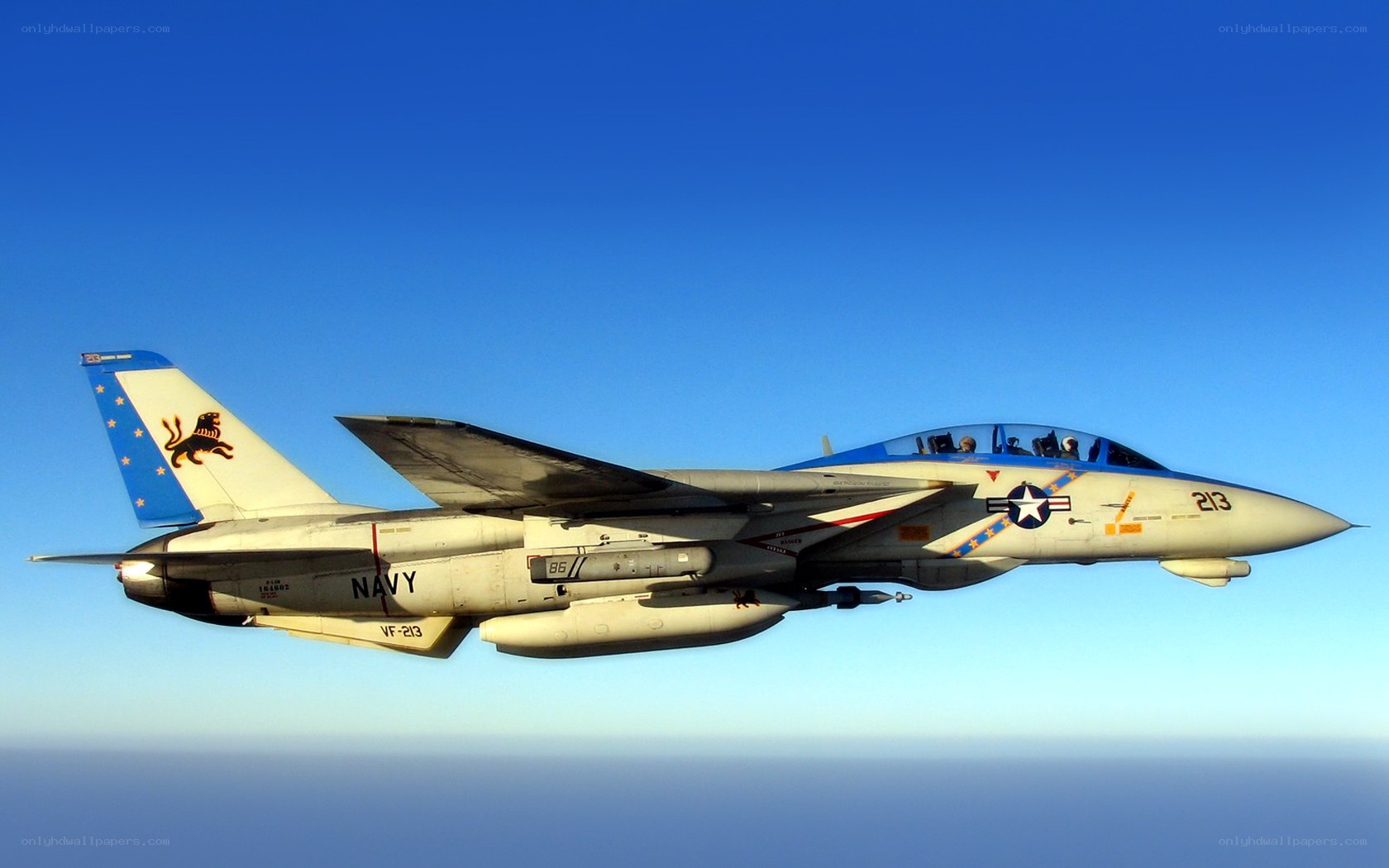 Navy fighter jet in flight