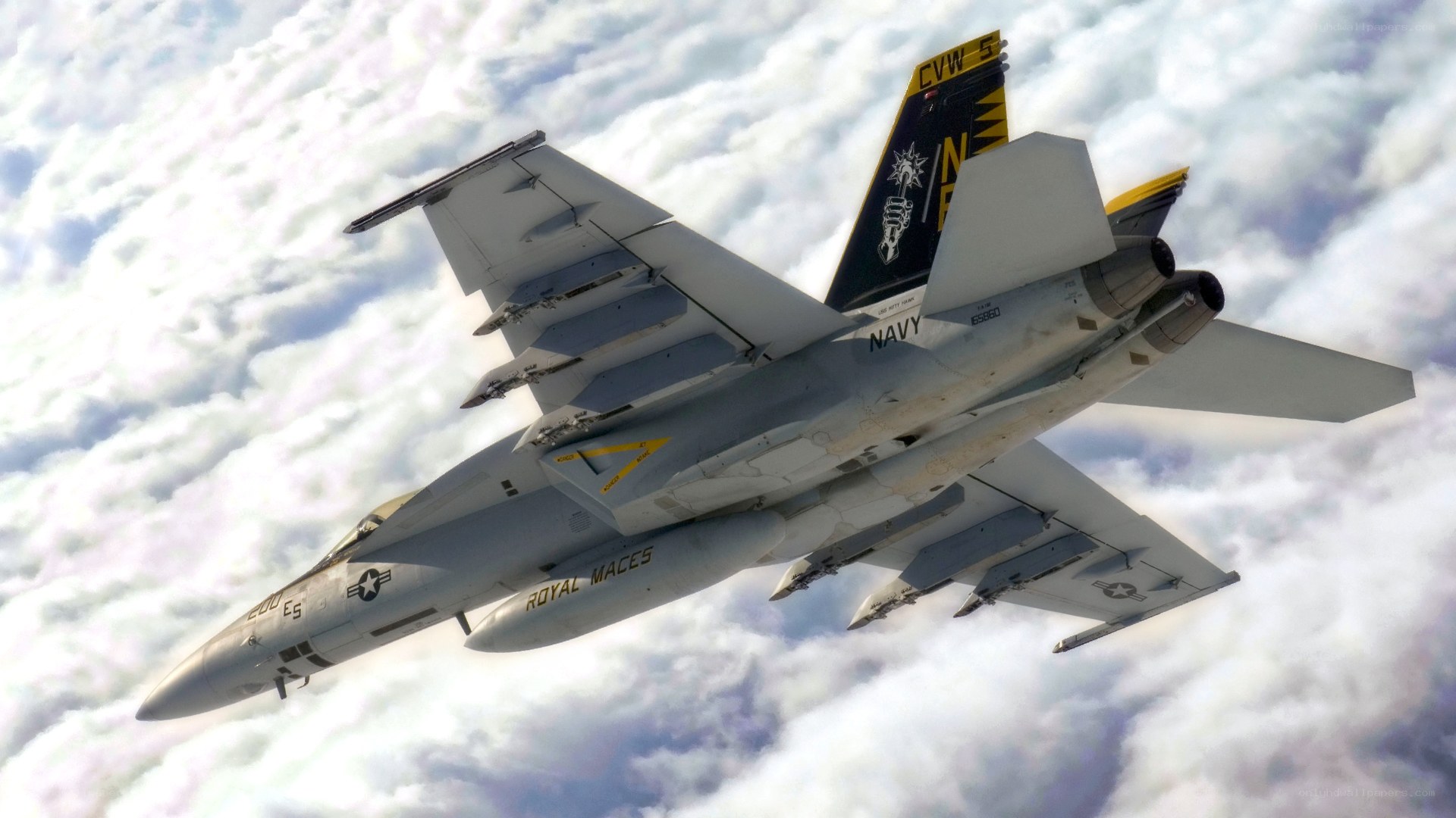 Navy fighter jet in flight