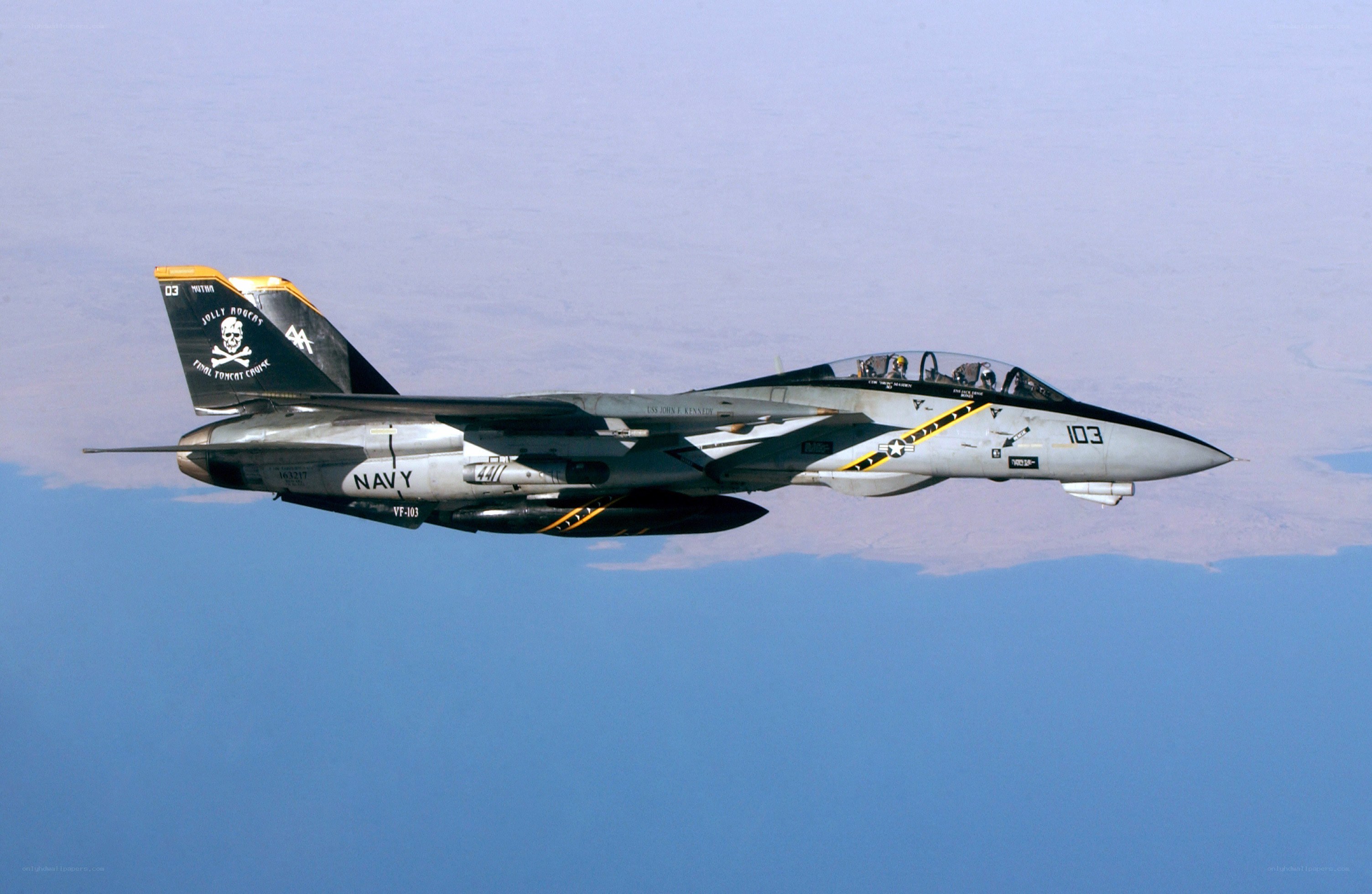 Navy fighter jet in flight