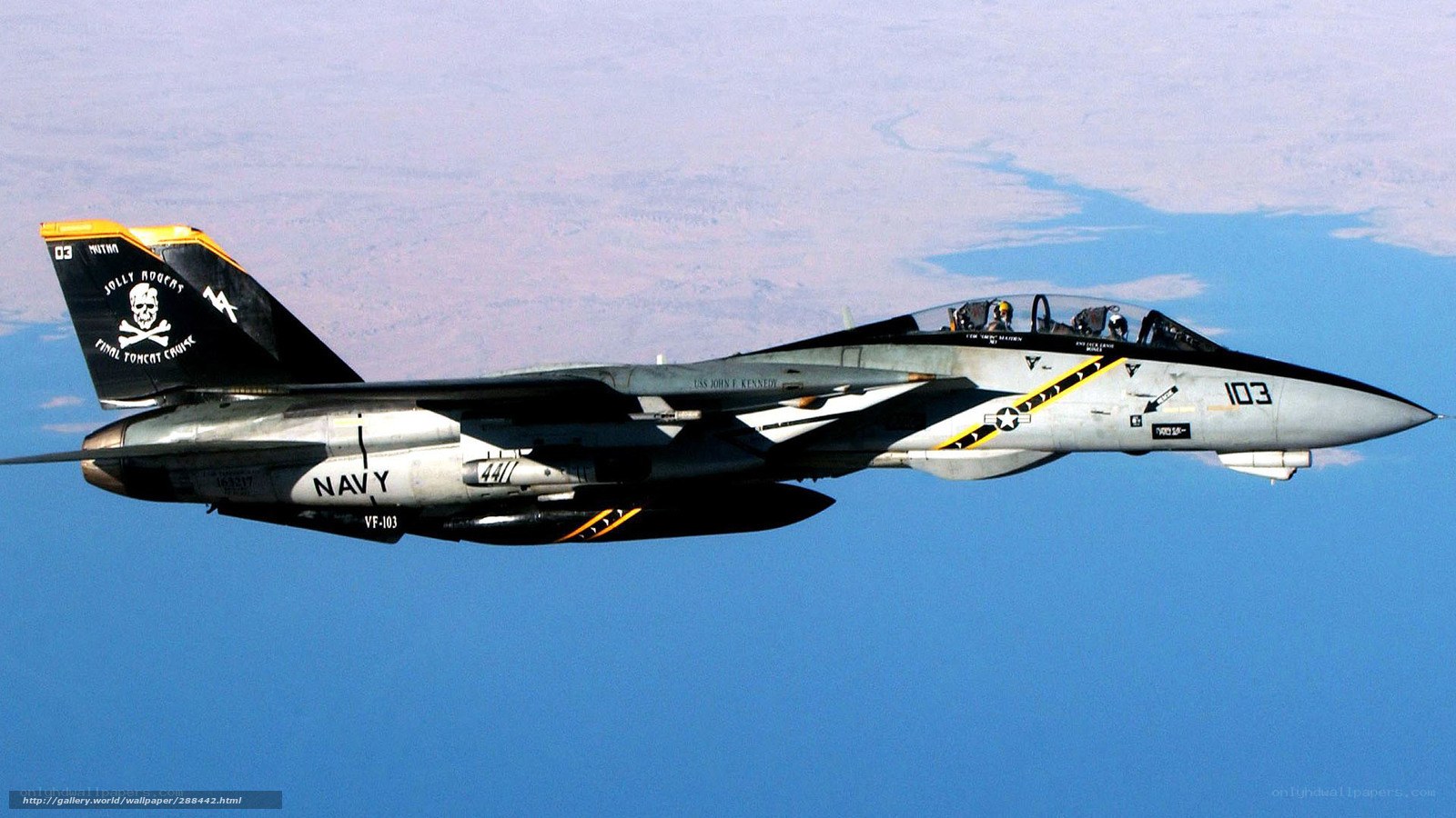 Navy fighter jet in flight