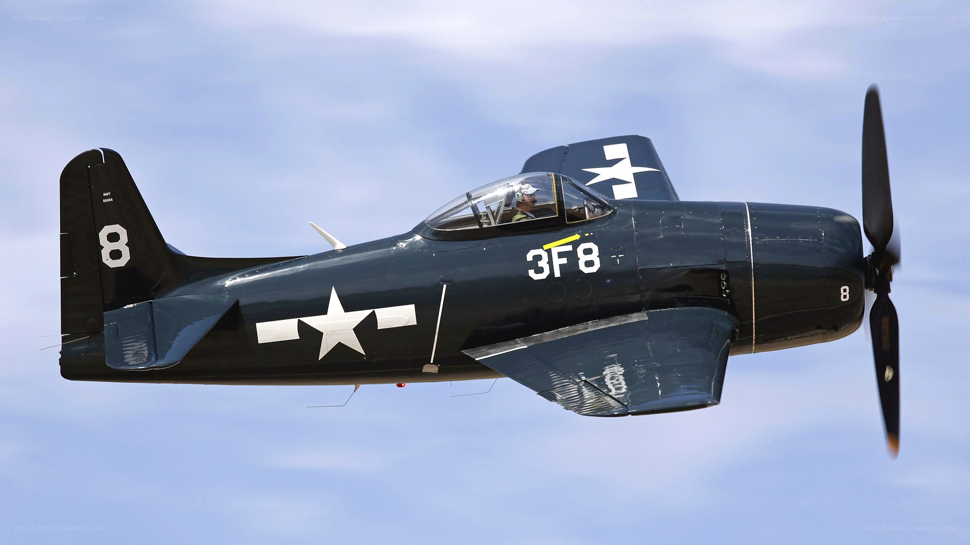 Navy fighter plane in flight