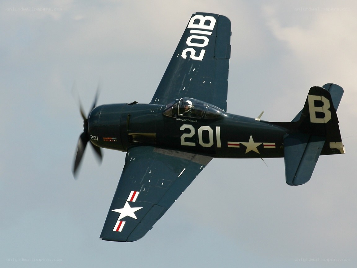 navy fighter plane in flight