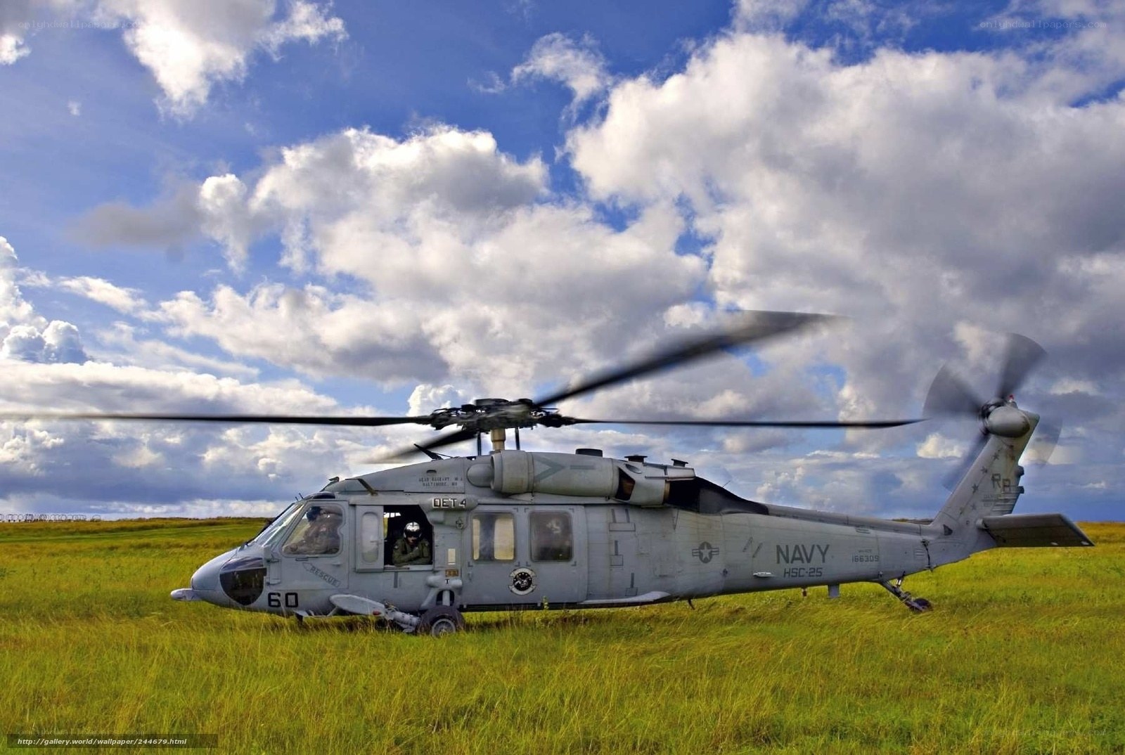 Navy helicopter on grass field