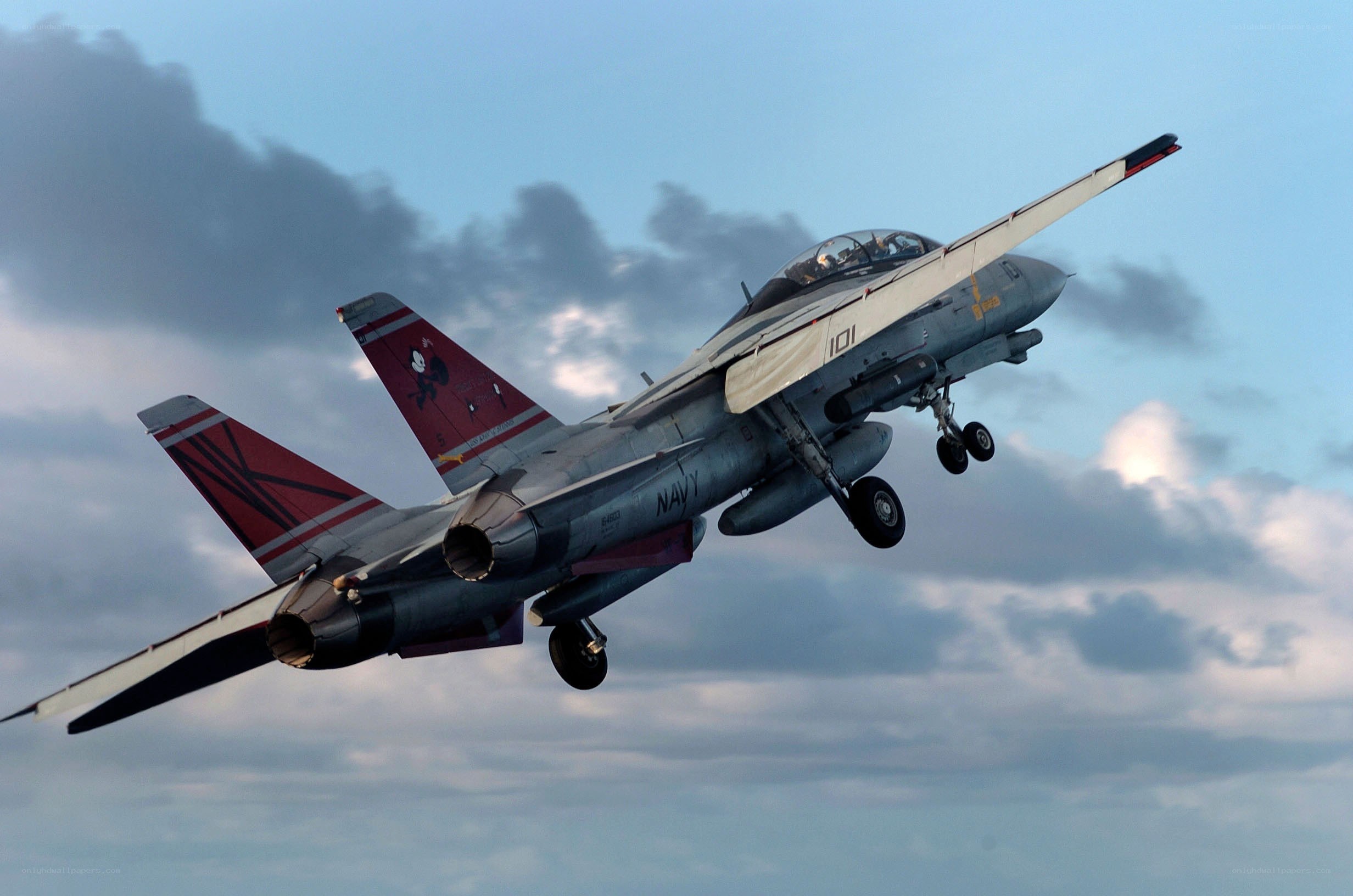 Navy jet in flight